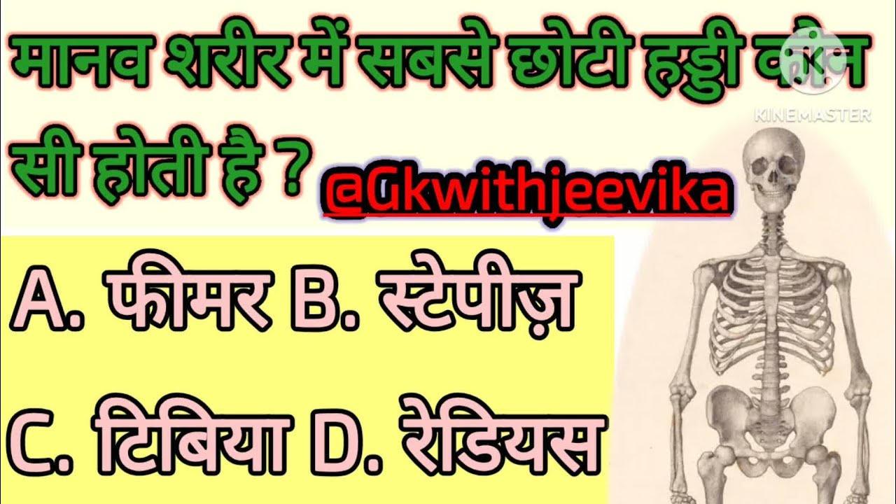 Sirf Smart Log Hi In 20 Tricky GK Questions Ka Jawab De Paate Hain 😎🔥 