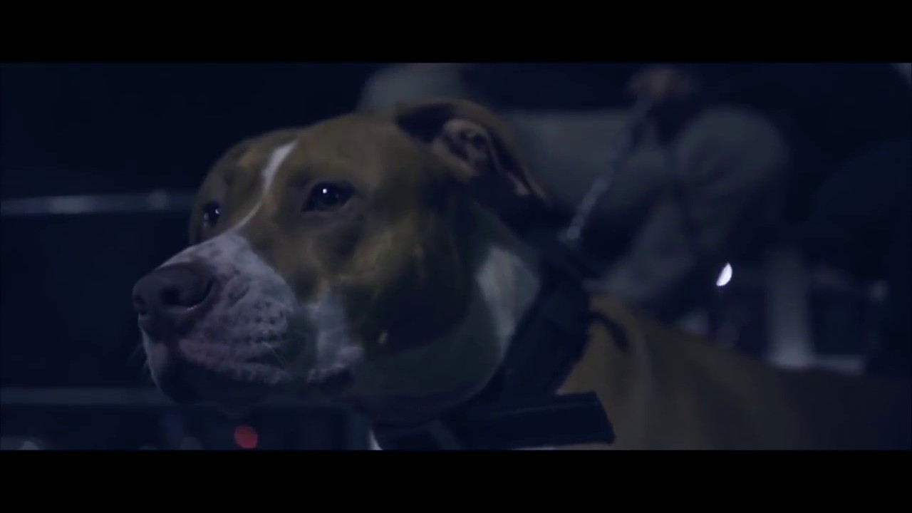 Sfera Ebbasta   Ciny Prod  Charlie Charles BACKSTAGE CINISELLO BALSAMO