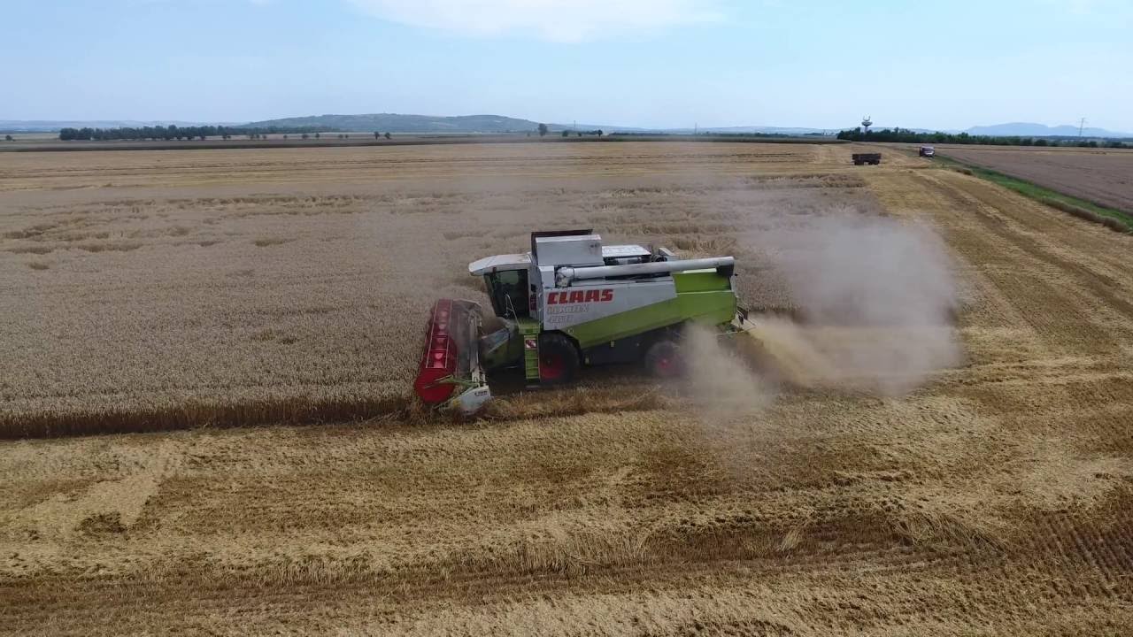 Lexion 460 a nadějný kombajnér Petr Matoušek Sobotovice 21.7.2016