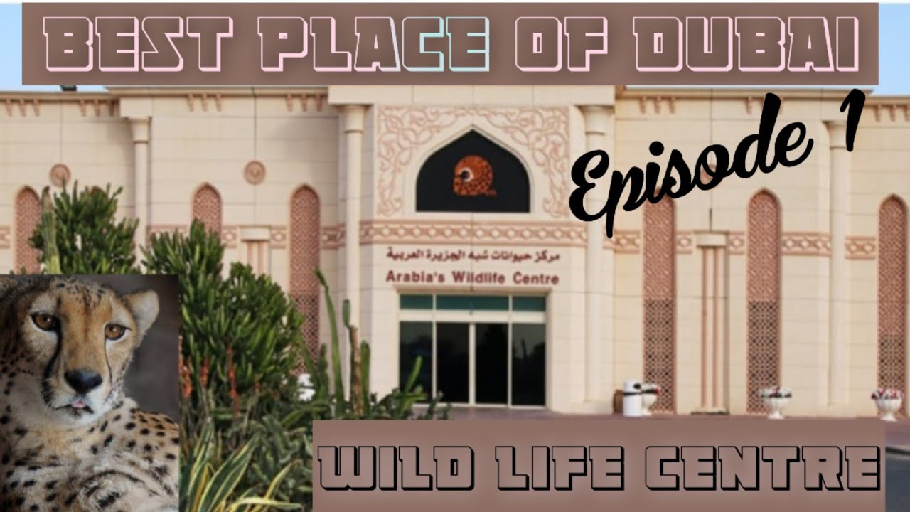 A Wonderful Trip to Wild Life Center Sharjah||Kids Entertainment||متحف حيوانات شبة الجزيرة العربية