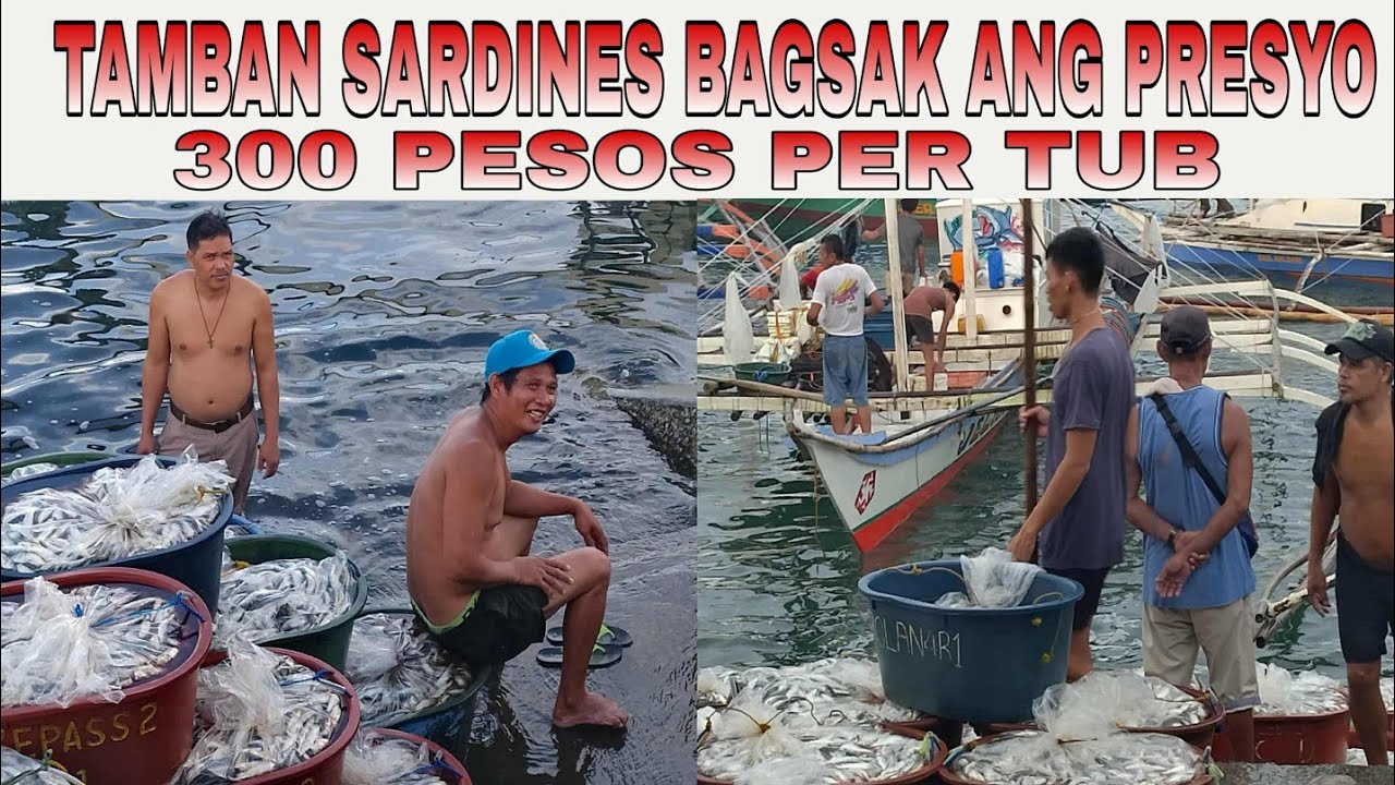 # Philippines  TAMBAN SARDINES SA BULAN SORSOGON CITY BUMAGSAK NA ANG PRISYO DAHIL  SA WALANG YELO.