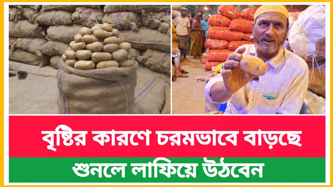 বৃষ্টির কারণে চরমভাবে বাড়ছে আলুর দাম | আজকে আলুর পাইকারি দাম কত | potato wholesale market price 