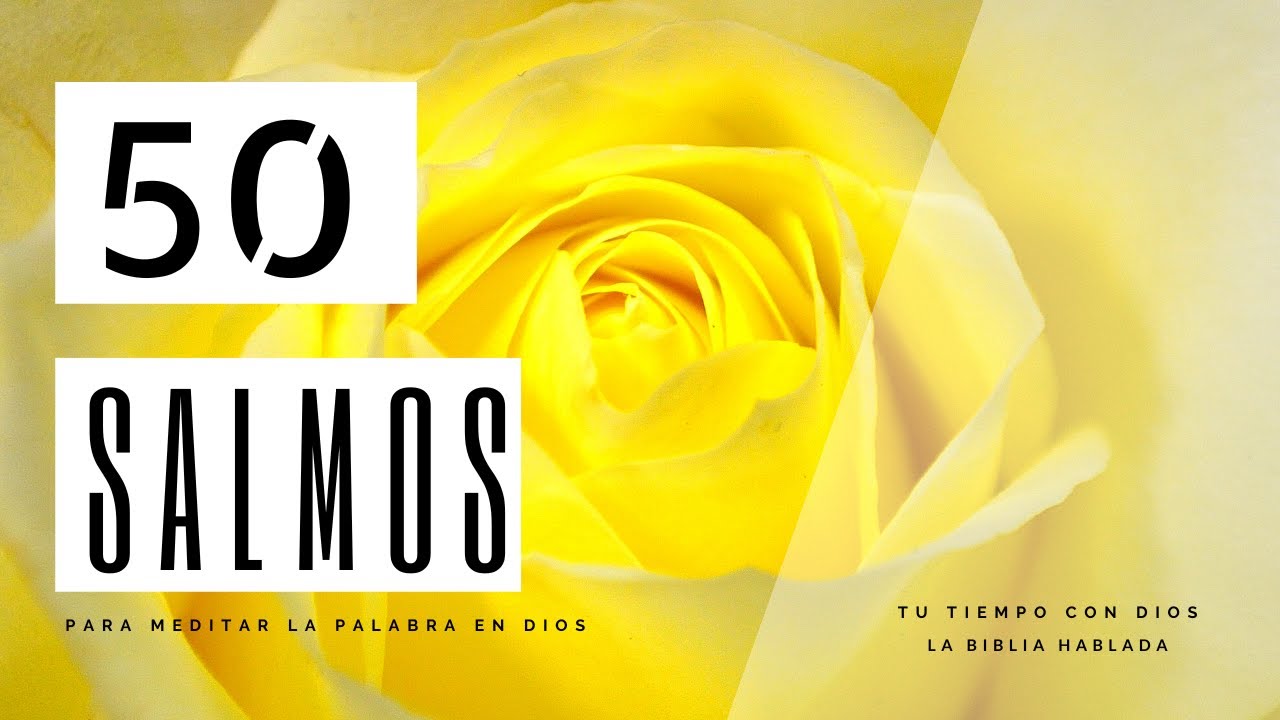 50 Salmos que te darán paz | Voz femenina #biblia #yamycruz #salmos