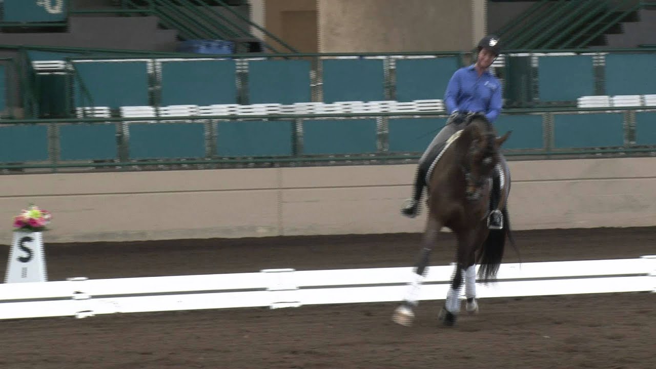 USDF Symposium 2011 Scott Hassler Coaches Sabine Schut-Kery and Sanceo, clip