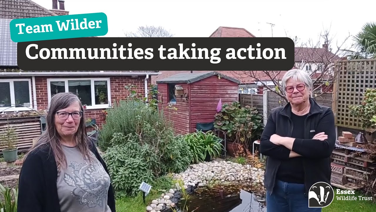 Greener Gardens Group in Brightlingsea taking action for wildlife - Team Wilder