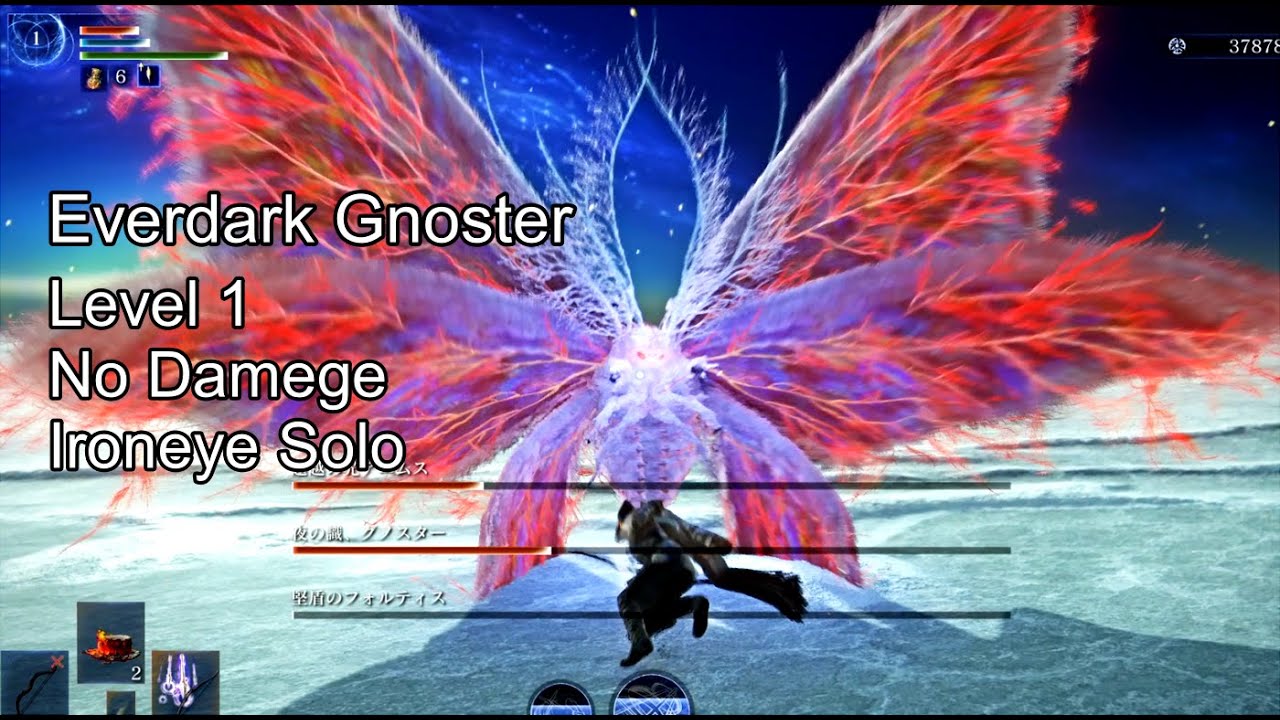 【レベル1/ノーダメージ/鉄の目ソロ】常夜の王 夜の識グノスター/Everdark Sovereign Gnoster Ironeye Solo【Nightreign】