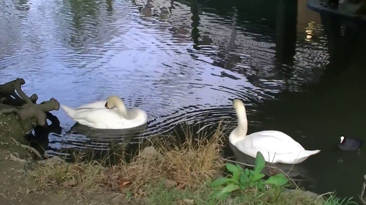 Paying respect at George Michaels home-walk with me pt3