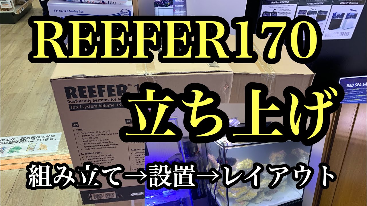 Red Sea    REEFER170 立ち上げ