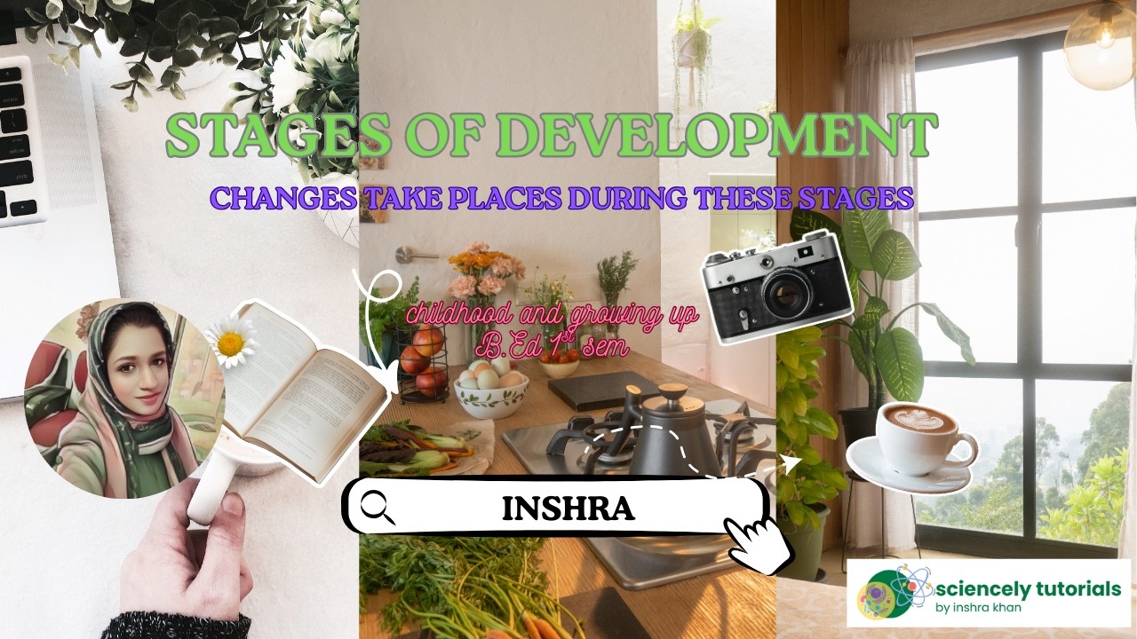 stages of development and the changes taken place during these stages.