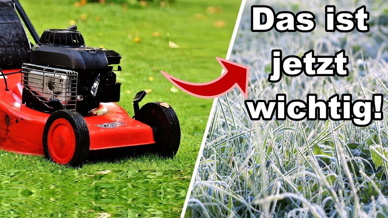 Was du unbedingt beim letzten Mal Rasen mähen vor dem Winter beachten solltest!
