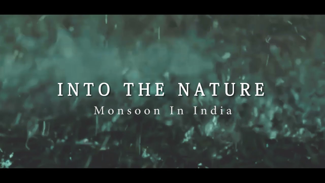 Into the Nature - Monsoon in Bihar | Cinematic Film