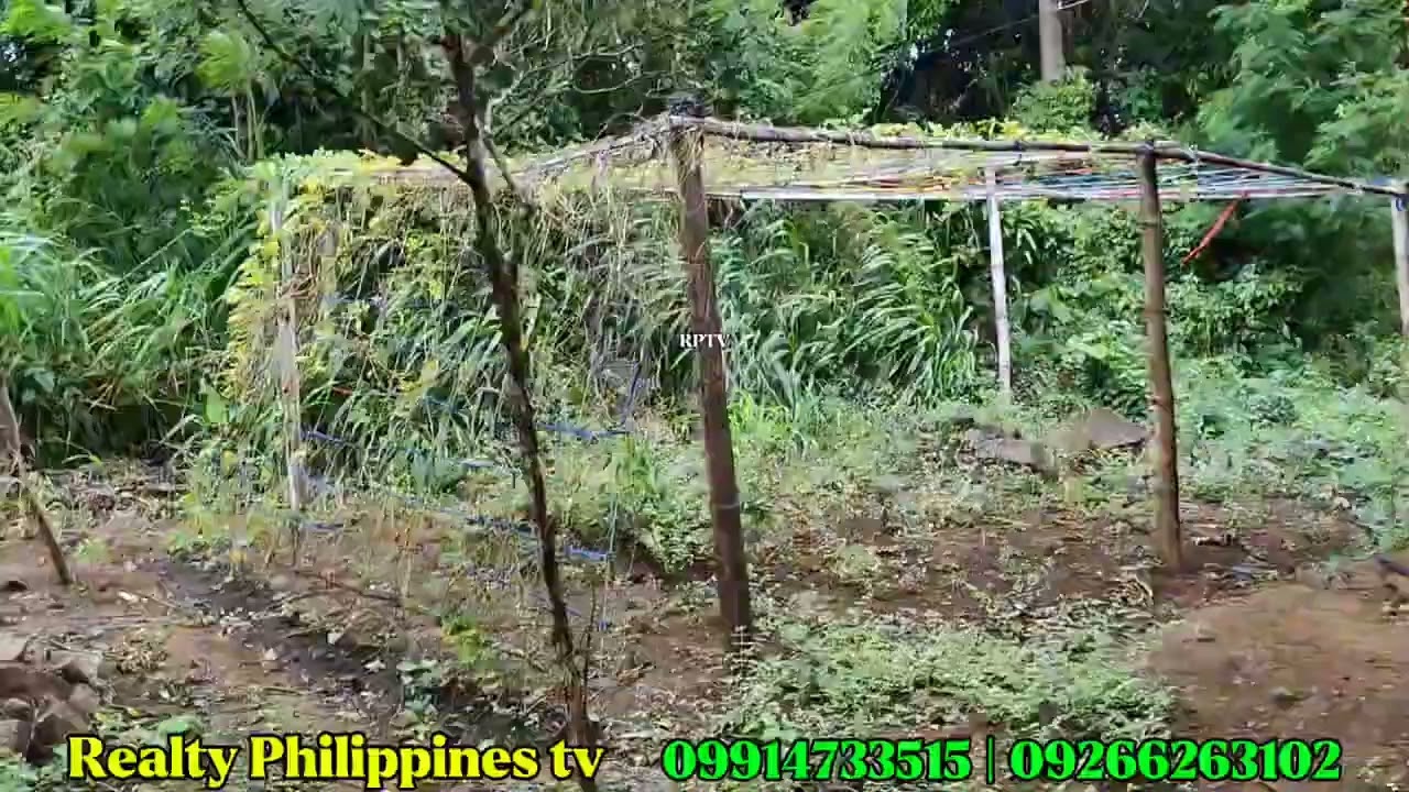 V#1070   House and Lot with fruit bearing Trees TITLE   Tanay Rizal 4