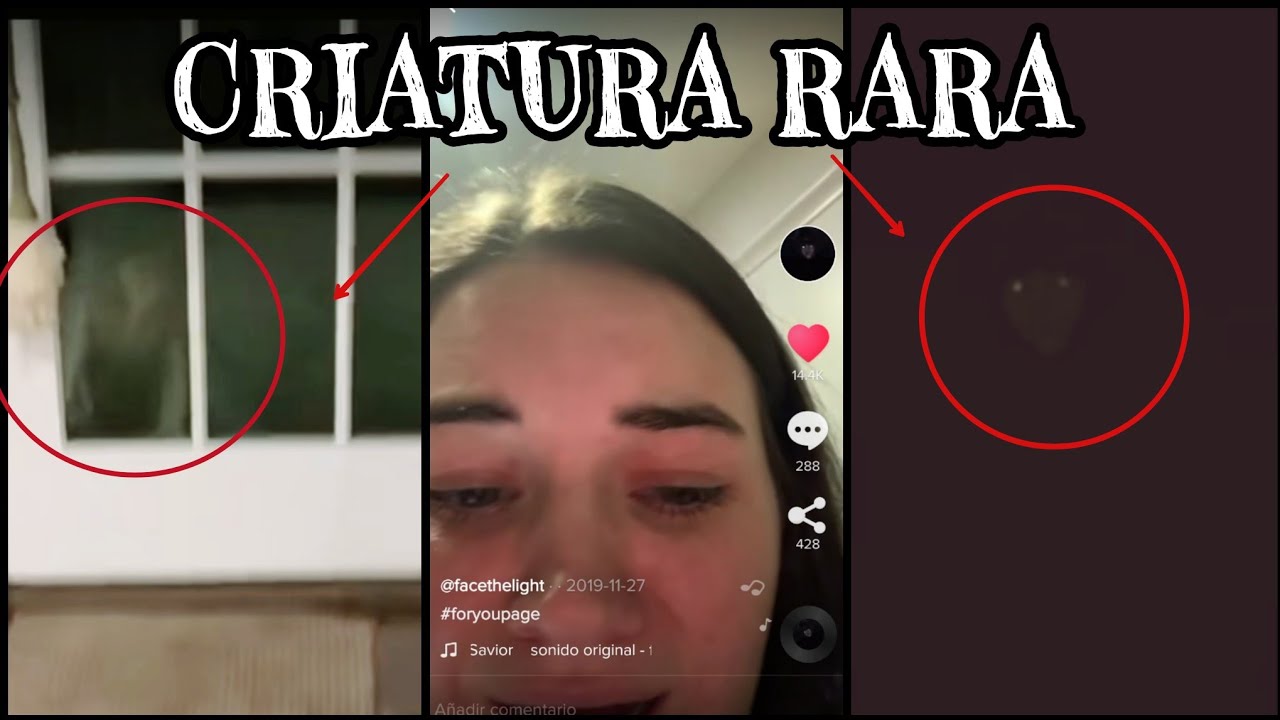 FACE THE LIGHT - TIKTOK HISTORIA DE TERROR