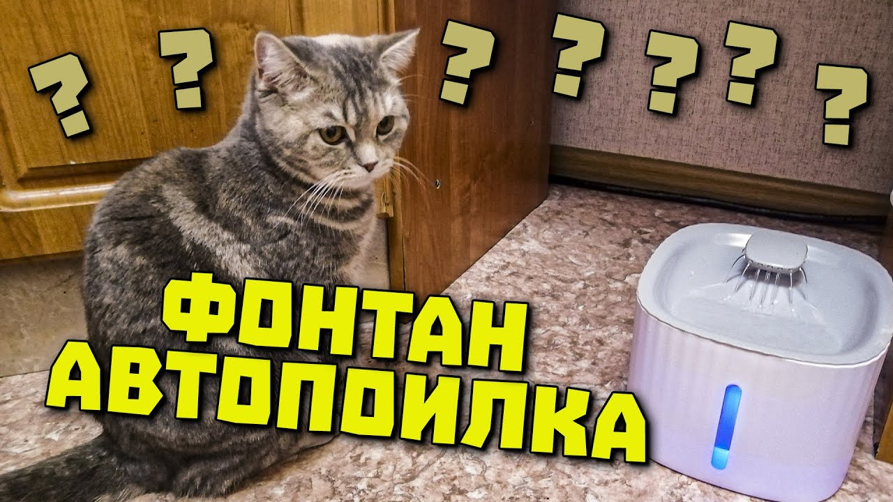Кошка в шоке! Фонтан поилка с датчиком движения! Распаковка!