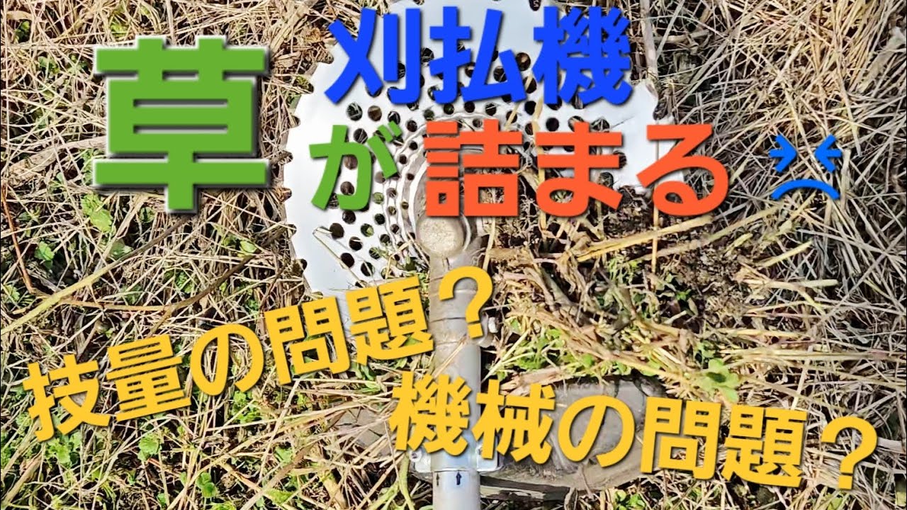 荒れた畑の草刈り中に、何度も草が詰まって大幅にタイムロス #現代農業 #刈払機 #農地 #農業 #草刈り #草 
