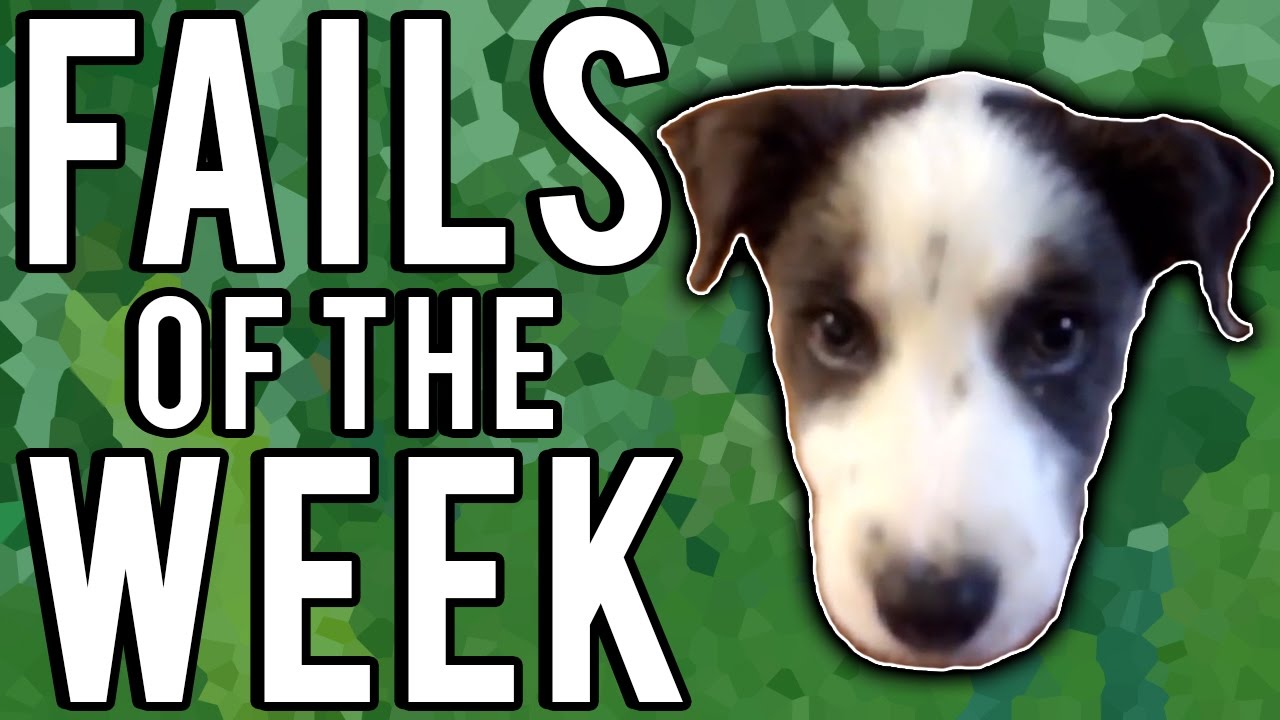 The Best Fails Of The Week May 2017 | Week 3 |  Part 1 | A Fail Compilation By FailUnited