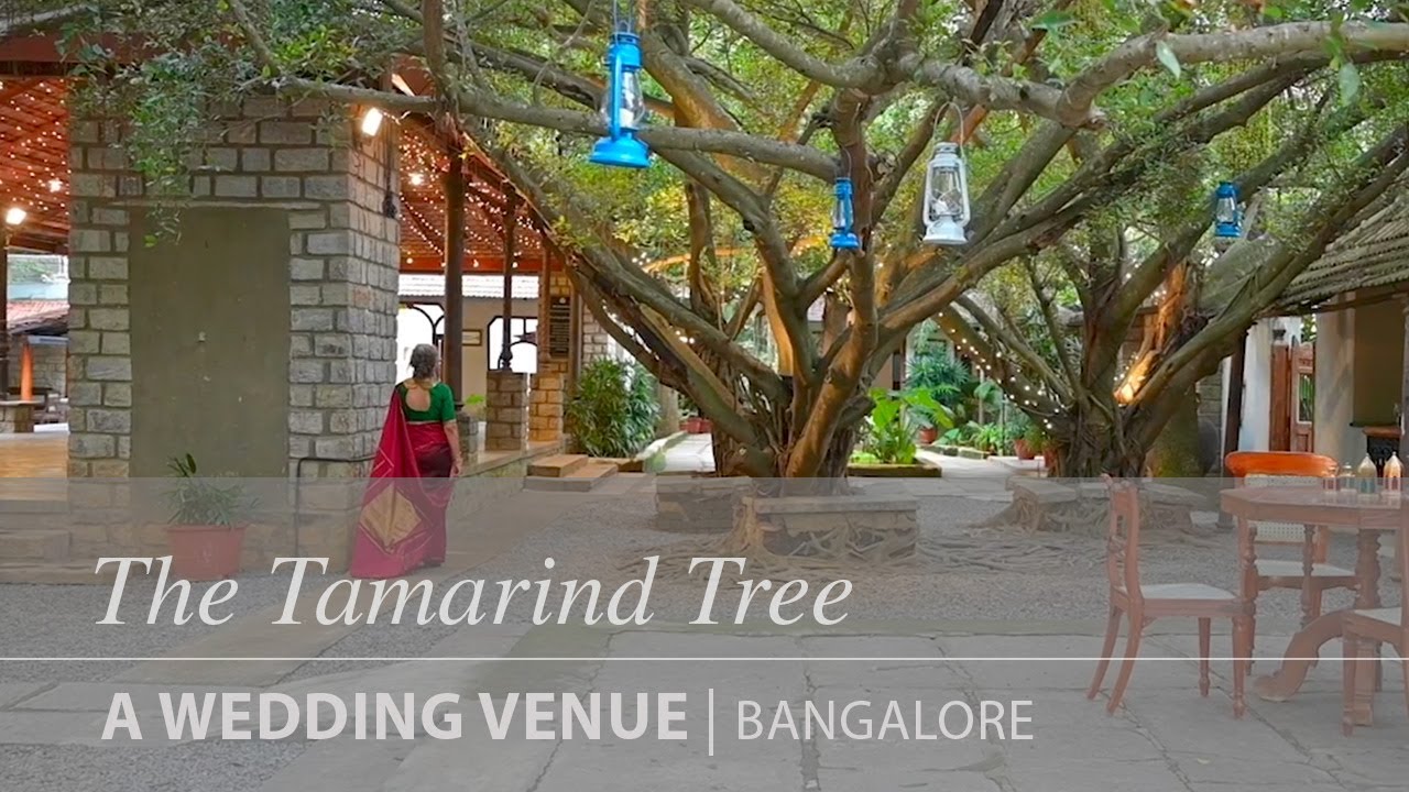 MGXINDIA | The Tamarind Tree, a wedding venue in Bangalore