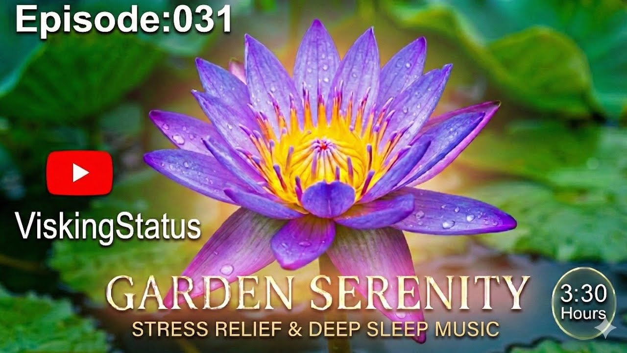 Episode :031 of the Relax series. 