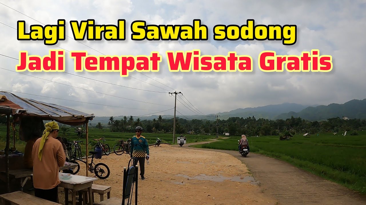 Lagi Viral Sawah sodong Jadi Tempat Wisata Gratis Di Serbu content creator hingga Selebtok