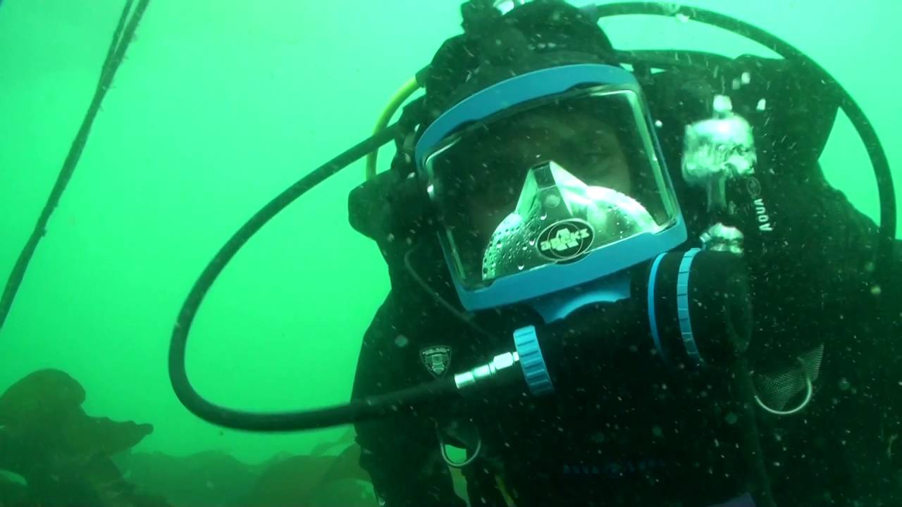 Emerald Forest Trailer- June 8, 2016 Live Dive
