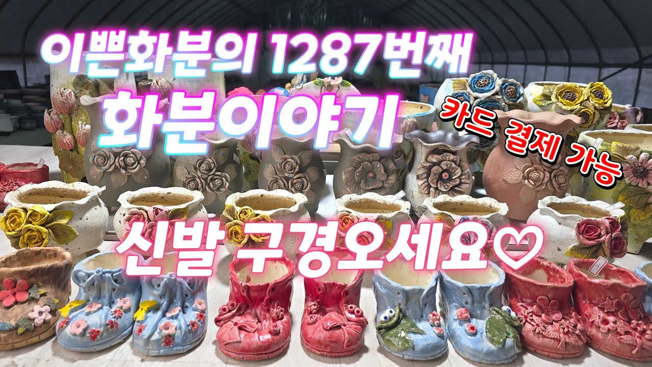 2월 10일 #이쁜화분 1287번째 화분이야기 (신발 구경오세요♡) 