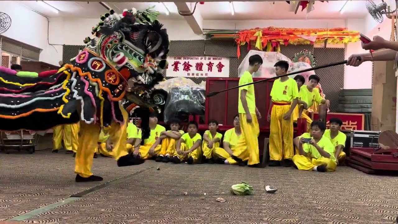 2025#珠海龍獅運動協會 （到澳拜訪￼￼）#澳門業餘體育會 #傳統青陣 ：椰子青#黃昌洪拳第五傳 ￼