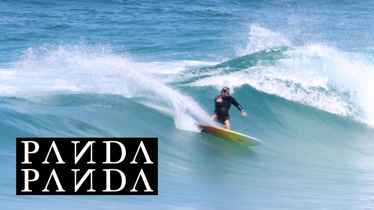 Обзор PANDA Shiitake HP Twinzer — The Surfboard Guide