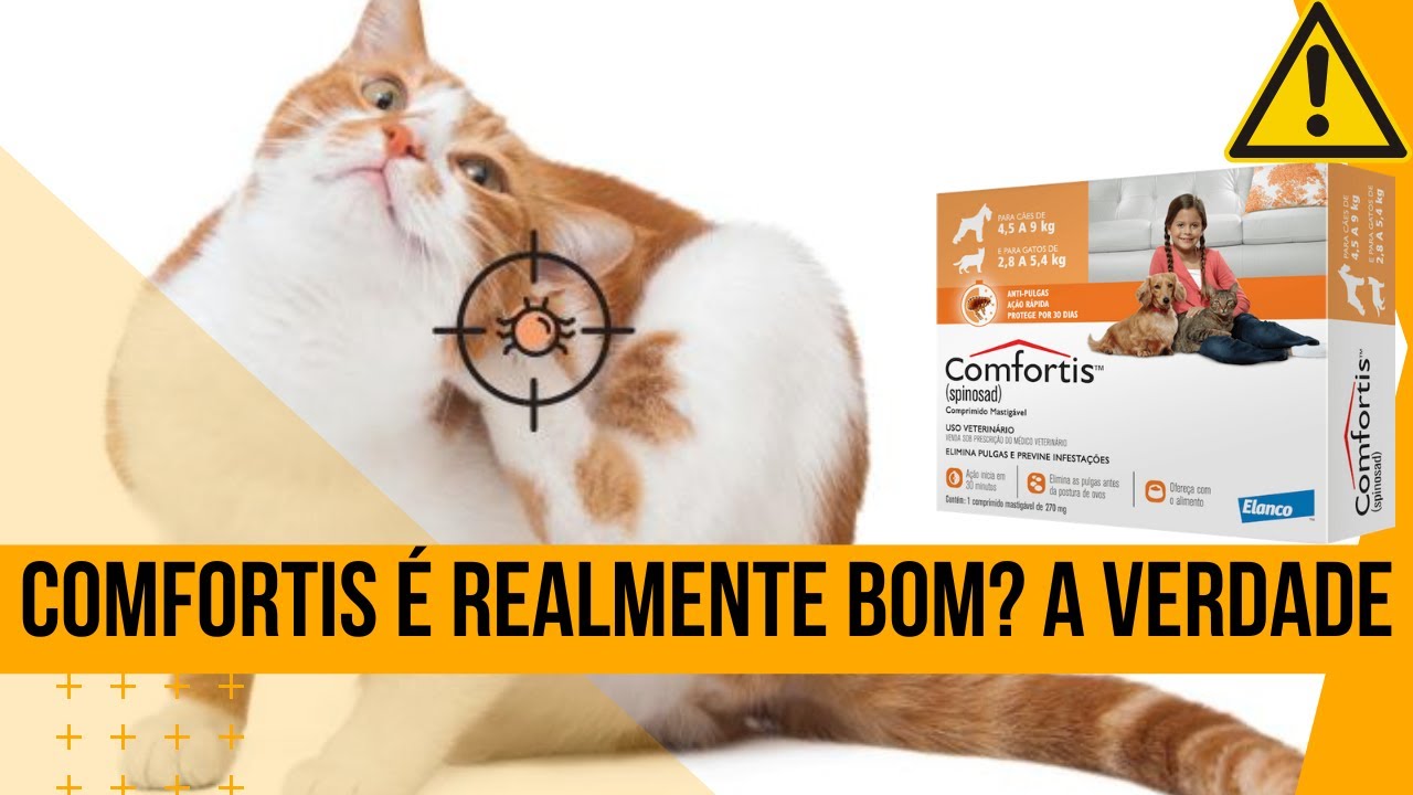 Comfortis realmente funciona? Veja tudo!
