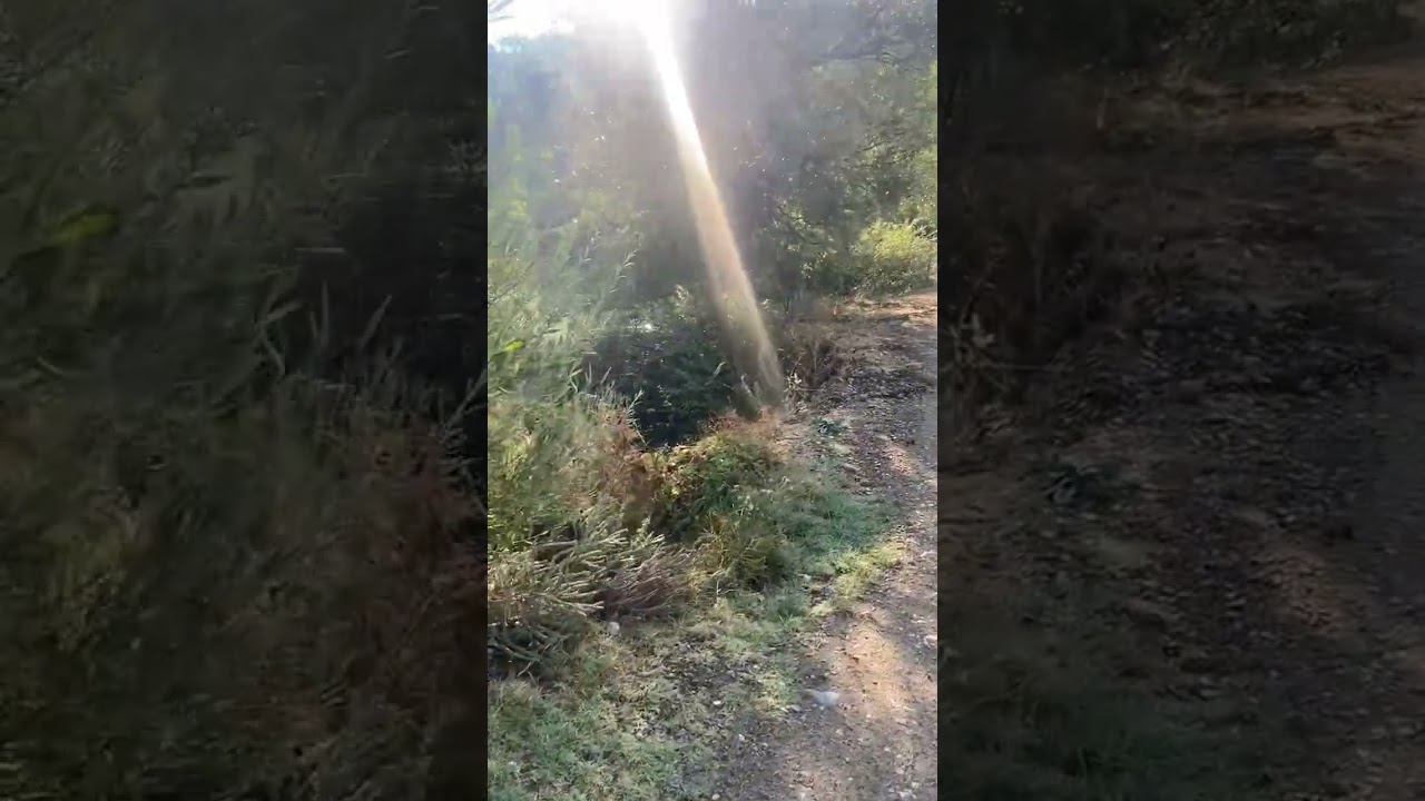 Maraş Afşin DomuzDere k&ouml;y&uuml;&hellip;