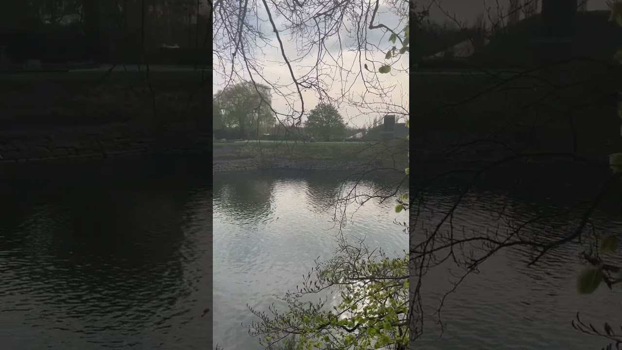 Malm&ouml;hus Slott #malm&ouml; #isve&ccedil; #sweden #kanal #kano #park #Malm&ouml;husSlott #kale #castle #silence #huzur