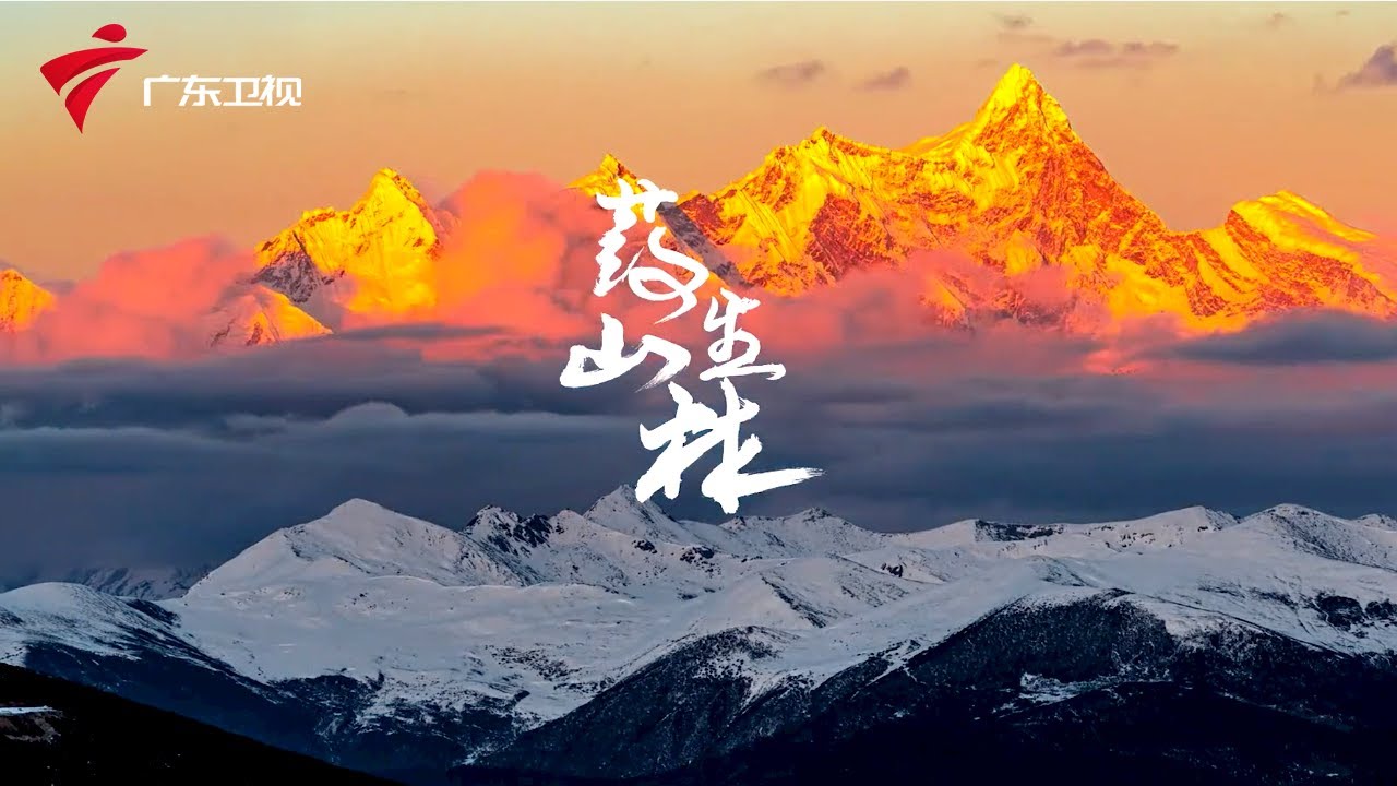 第6集 药生山林 神奇的中国草药 Chinese herbal medicine【秘境神草第3季】 #秘境神草