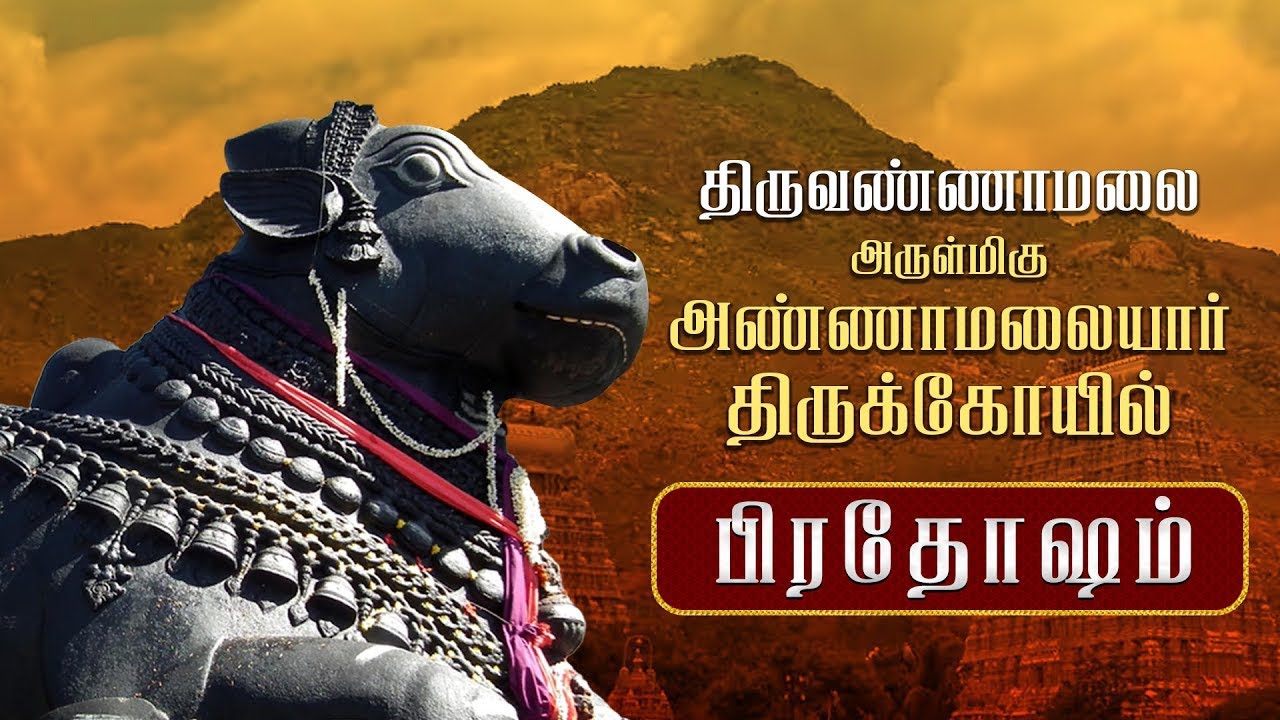 பிரதோஷம் 🔴LIVE:  அருணாச்சலேஸ்வரர் கோயில் | திருவண்ணாமலை | Pradosham | Nandi Abhishekam