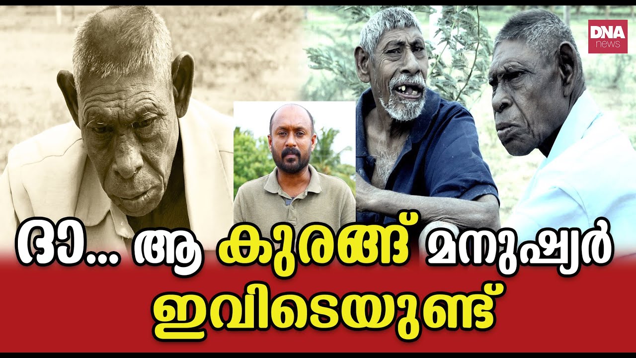 ഇത് കുരങ്ങുകളുടെ ശാപമോ...? |dnanewsmalayalam
