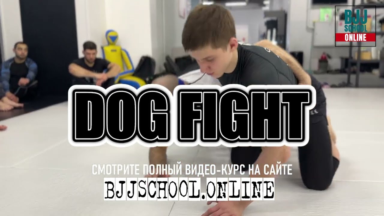 Степан Анискин - о чем видео-курс DOG-FIGHT на BJJSCHOL.ONLINE