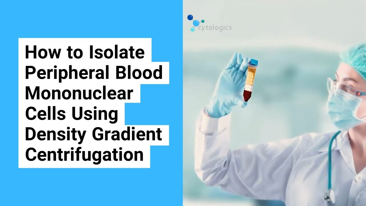 How to Isolate PBMCs Using Density Gradient Centrifugation