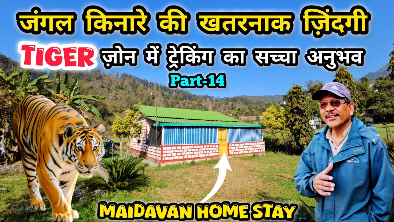 Scary Jungle Adventure Experience | Maidawan Homestay | Jim Corbett 