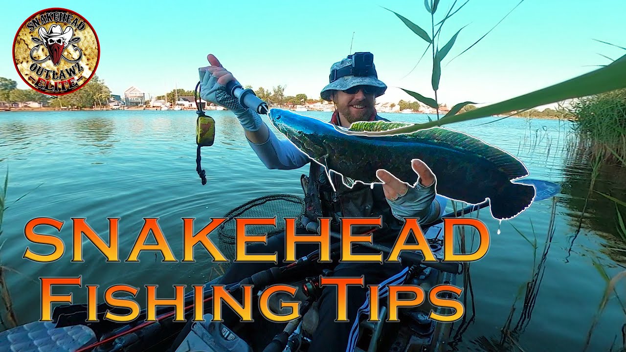 Snakehead Fishing Tips: Lures, Techniques, and More; 