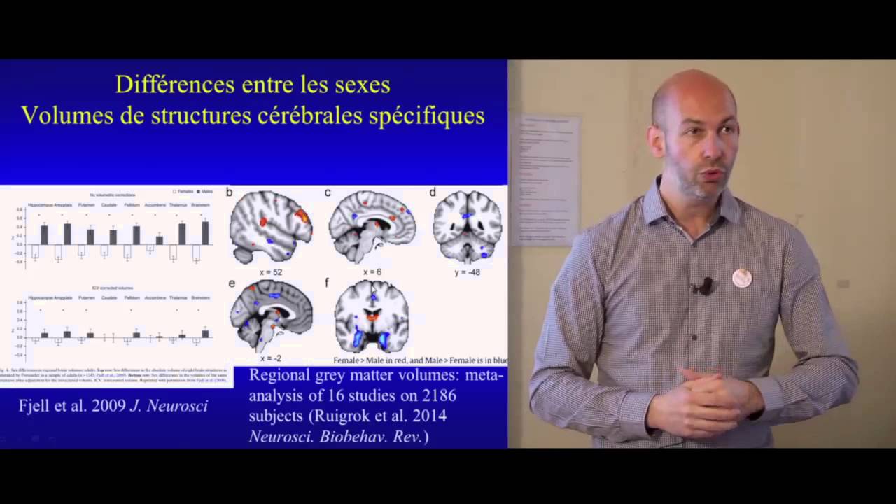 les différences cérébrales et cognitives entre hommes et femmes expliquées par le CNRS.