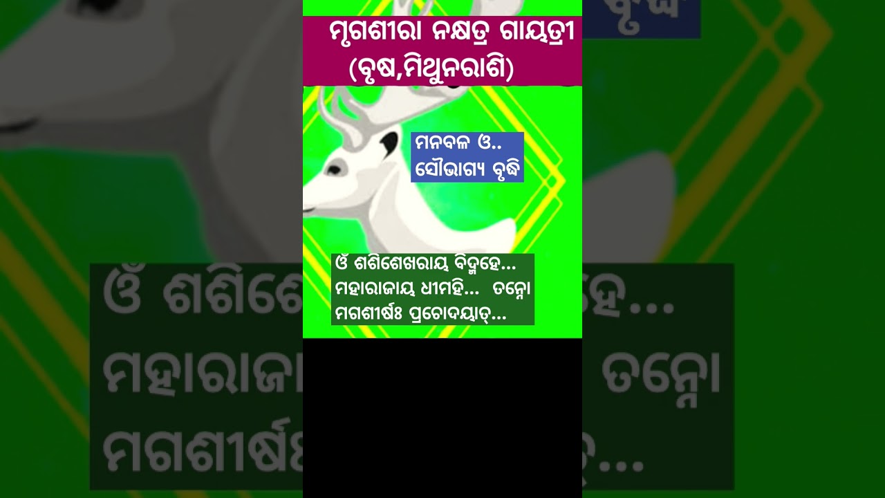 ମୃଗଶୀରା ଗାୟତ୍ରୀ #mrigashiranakshatragayatri #gayatrimantra #brusharashi #mithunarasi