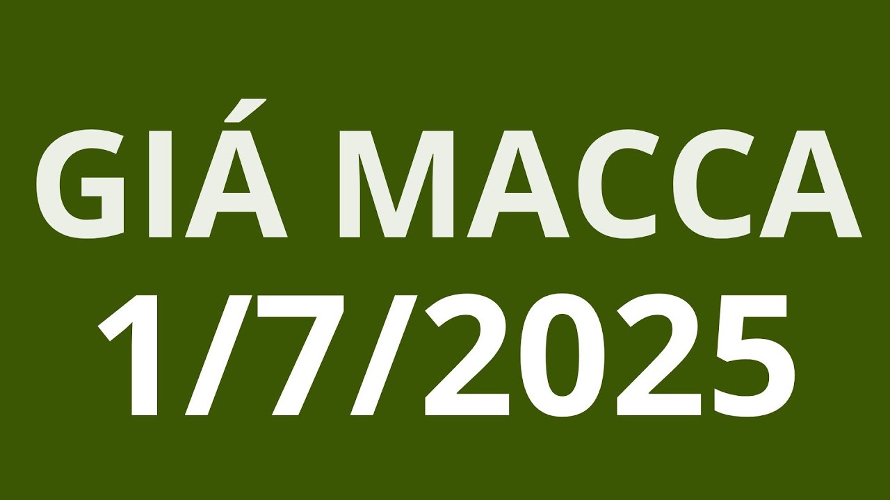 Gi&aacute; macca h&ocirc;m nay 1 7 2025, cập nhật chi tiết mới nhất gi&aacute; mắc ca hiện nay bao nhie