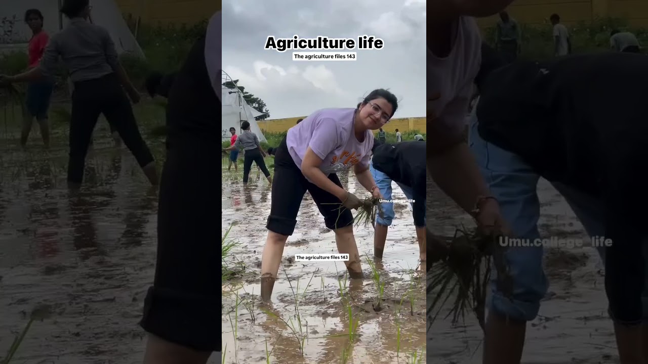 Agriculture Student Life 😅 #agriculture #2025 #bau #bihar #vacancy #coordinator