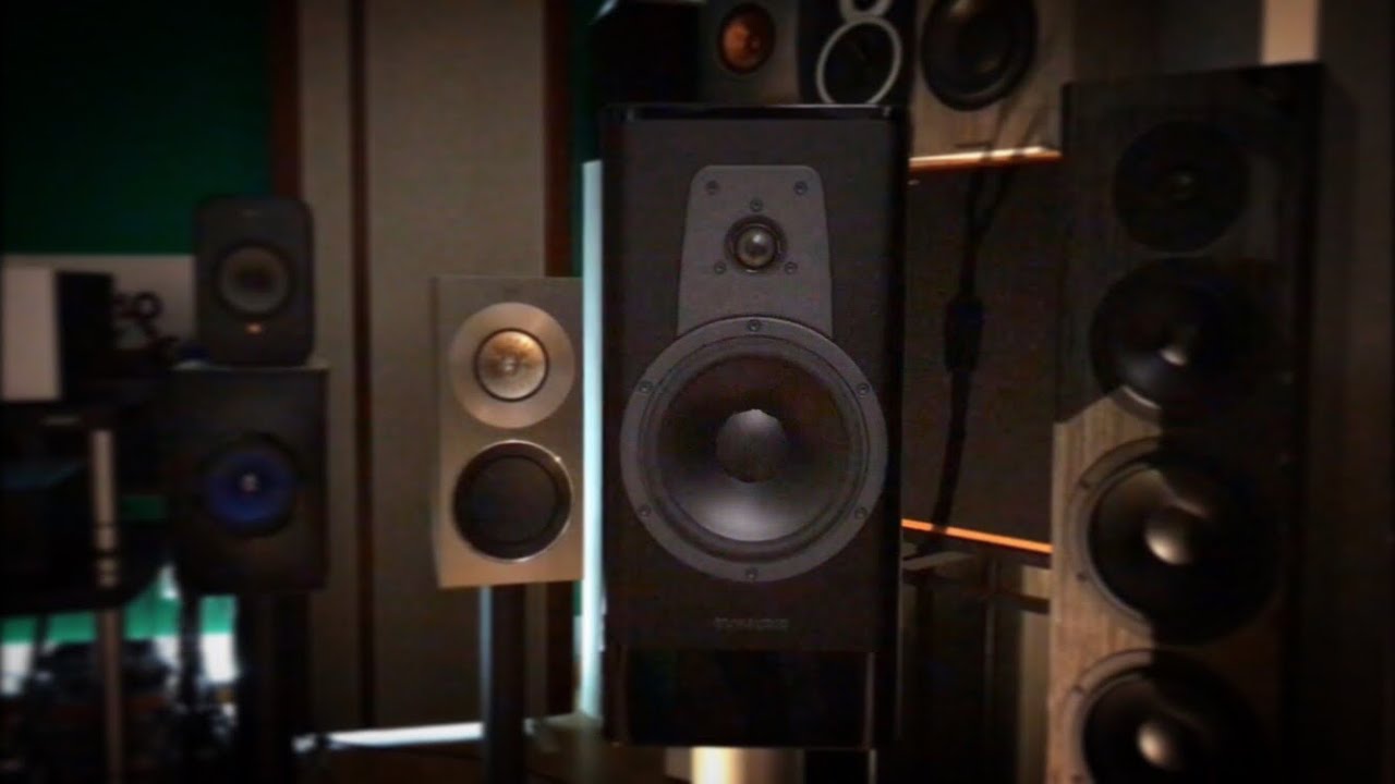 DYNAUDIO Contour 20 - The Black Widow