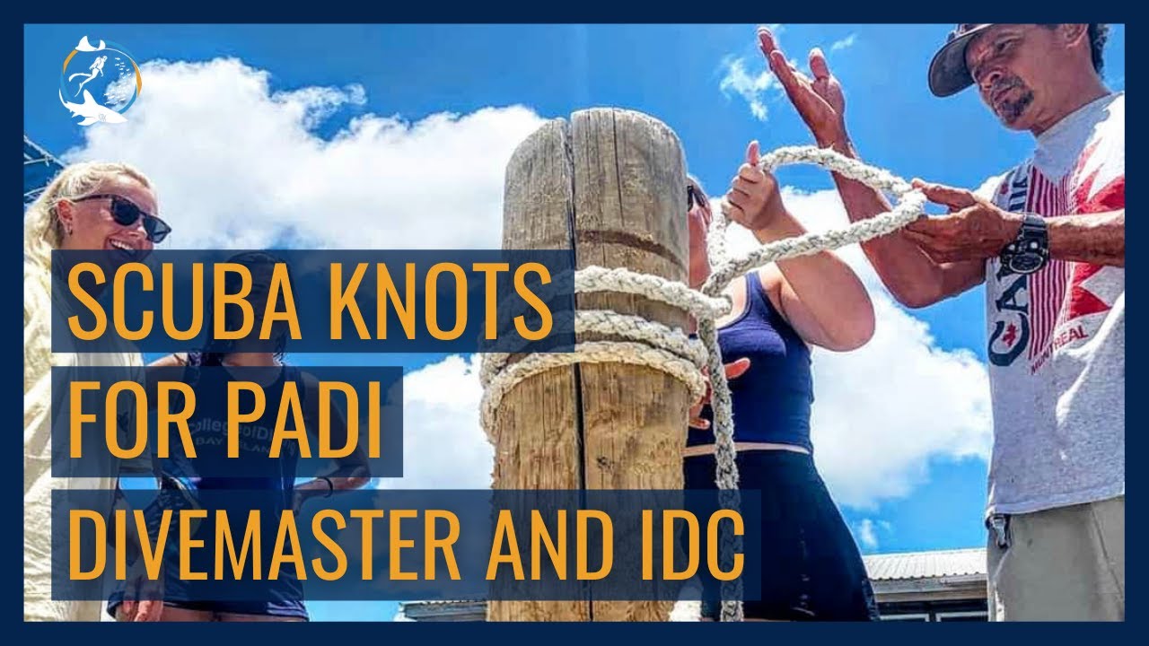 3 knots to know how to tie for your PADI Divemaster and IDC // Bowline, sheetbend and 3 half hitches
