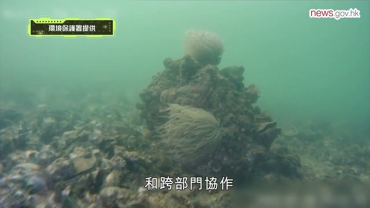 妙用新科技 緝污護環境 (11.6.2023)