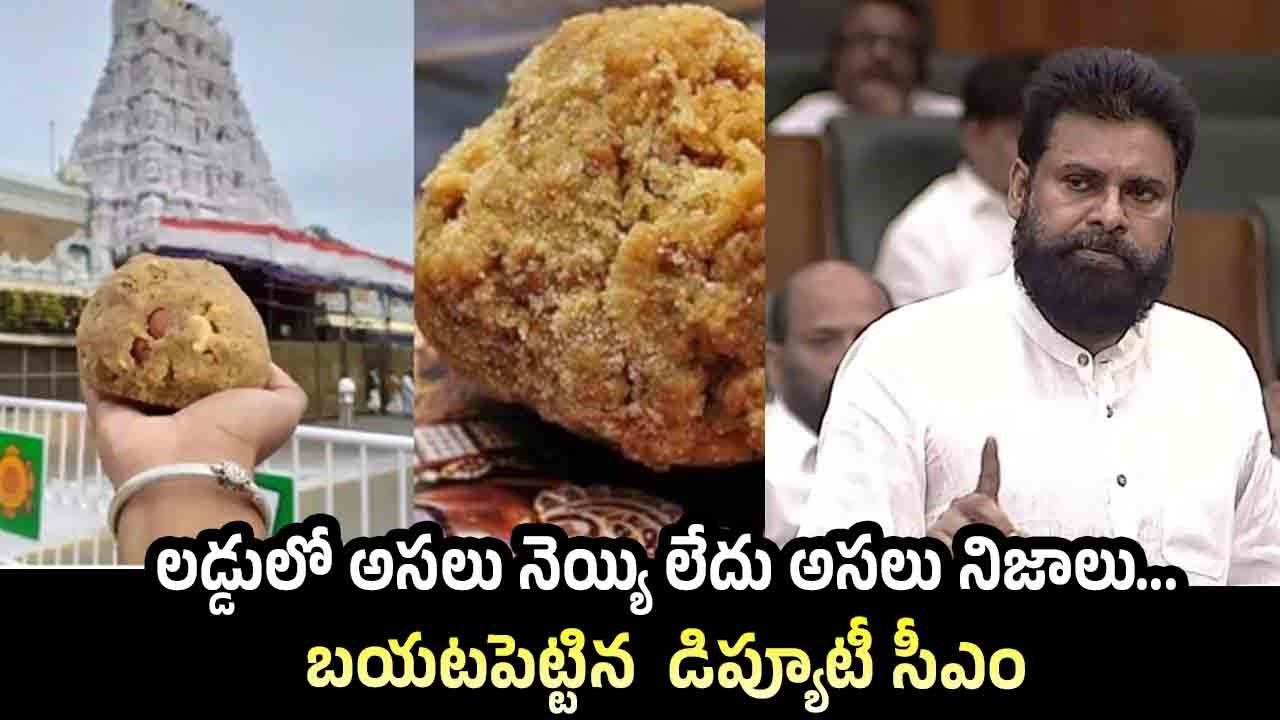 Deputy CM Pawan Kalyan Speech in AP Assembly | Tirumala Laddu Controversy | Pawan Kalyan
