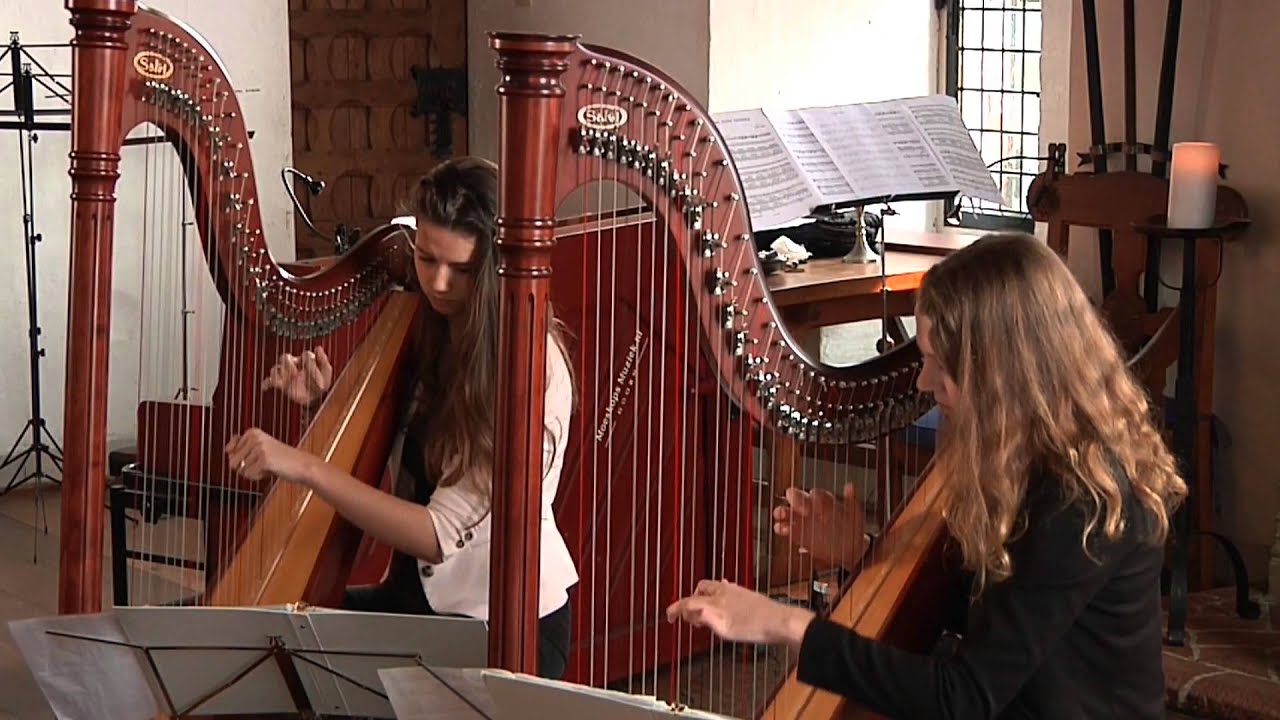 Divenire - Ludovico Einaudi (harp duet)