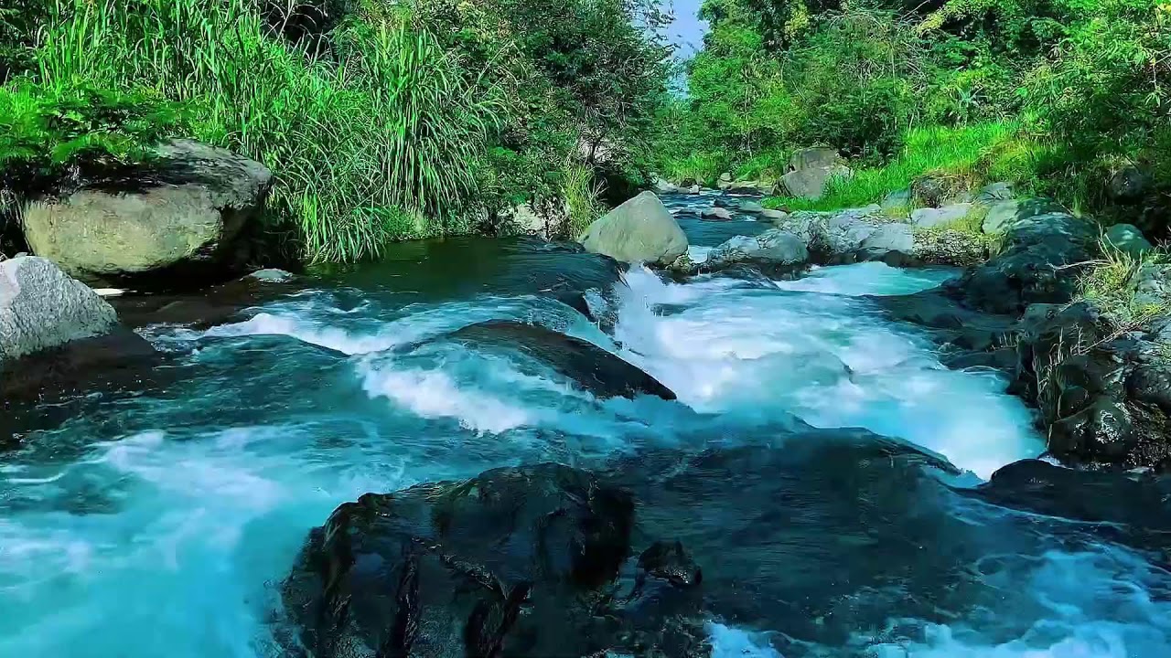 Flowing Mountain Stream Sounds, Forest River Calm Water, Sleep