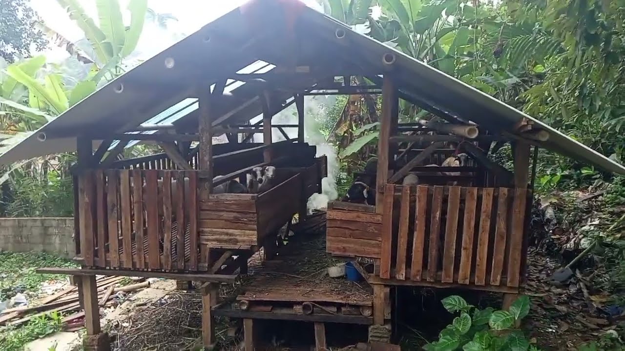 Biaya pembuatan kandang domba kapasitas 10 ekor 