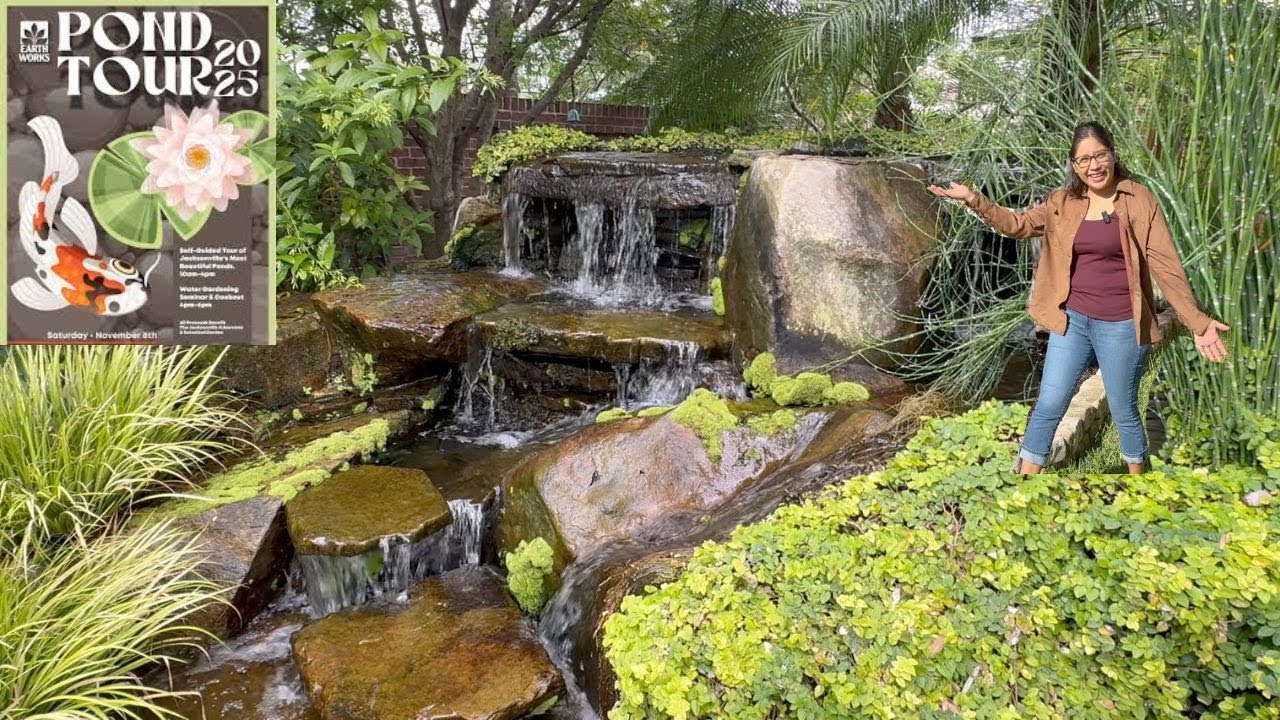 Pond Tour Self Guided in Jax Fl.