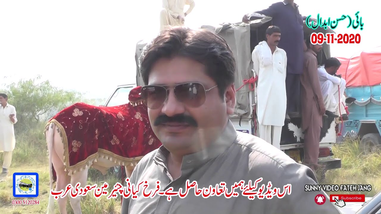 Bull Race In Pakistan  Sunny video Fateh Jang  09 11 2020  BAI